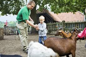 kinderboerderij_KV.jpg